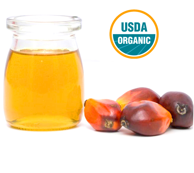 wholesale organic palm oil suppliers in united states